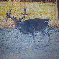 10,500 acres In Osage County.