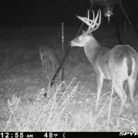 High Line Hunting Club is a family-oriented and management minded hunting club in Jasper County.