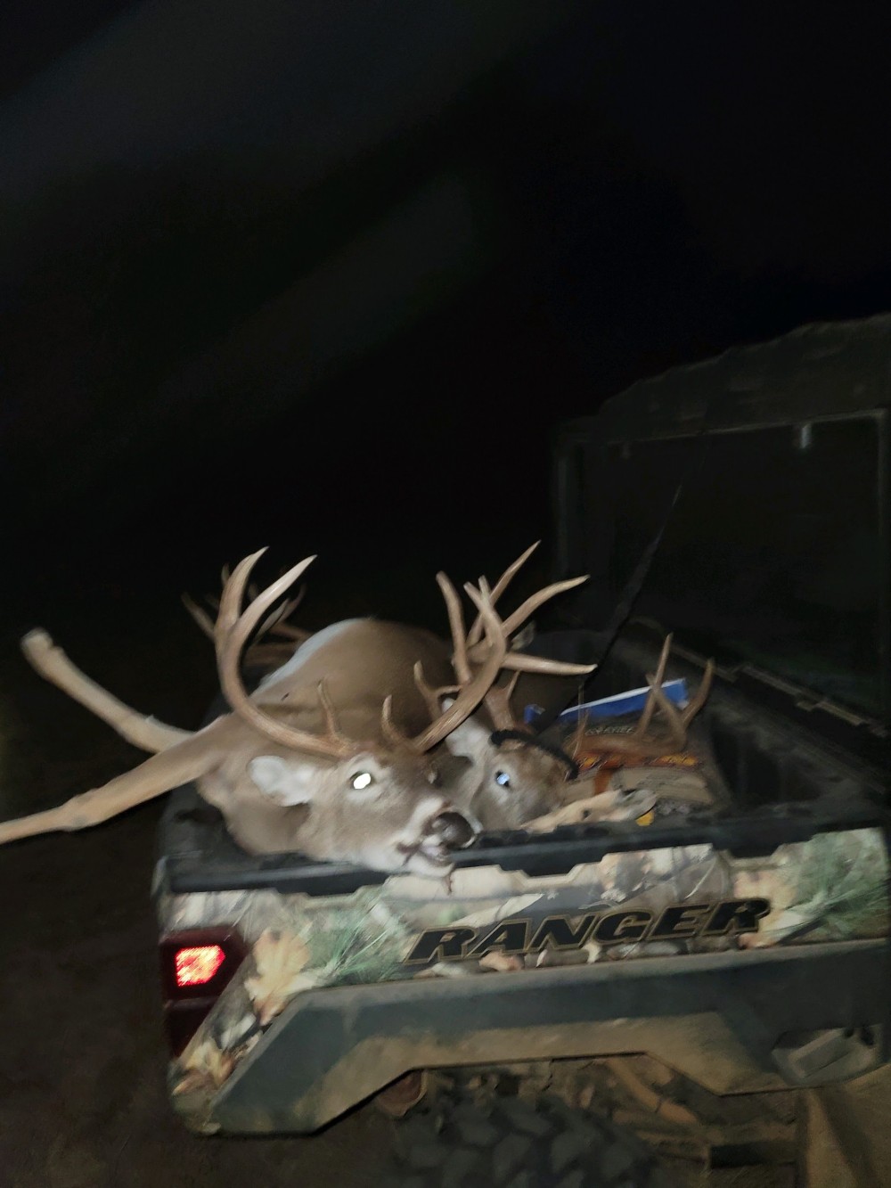 Bucks-3 featured image