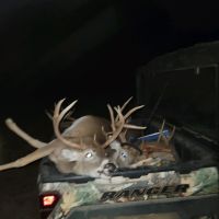DEER & Hog, - DEER SEASON
