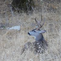 Dscn2941
