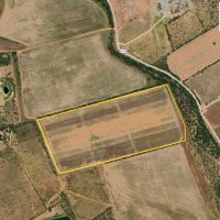 Dove Leases on Weston Ranch Foundation