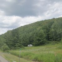 165 Acres of woodland property