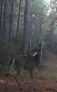 Img 0831 featured image