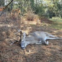 Tyler County Deer Lease  – Family-Oriented