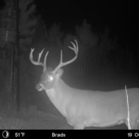 6200+ Acres East Texas Management Lease