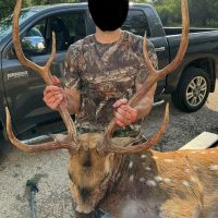 Texas Hill Country Deer Lease