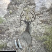 15500 acres MLD with lodge