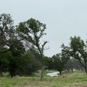 Elm creek hunting lease photo featured image