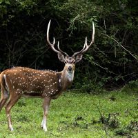 2026 Family Friendly Hunting Memberships near Brady and Mason. Stands, Feeders Feed, Exotics Fishing