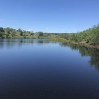 560 Acres Northwest Coleman County