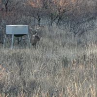Img 3959