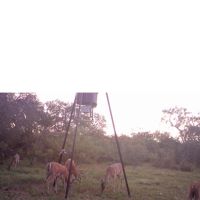 Img 3787