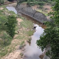Img 20210611 095404