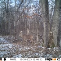 Hunt0042