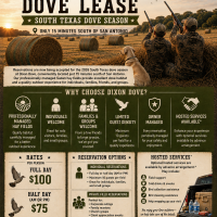 Dixon Dove, Dove hunting lease