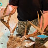 Ryan buck freezer