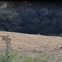 Hotspot northeast Clark co Missouri