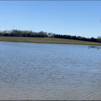 Duck Lease: 6 acre lake on 50 acre tract.