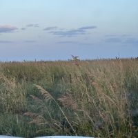 Target practice in Meadow, Texas 13.75 acres