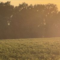 Sweet spot on Honey Creek in Northeast Missouri