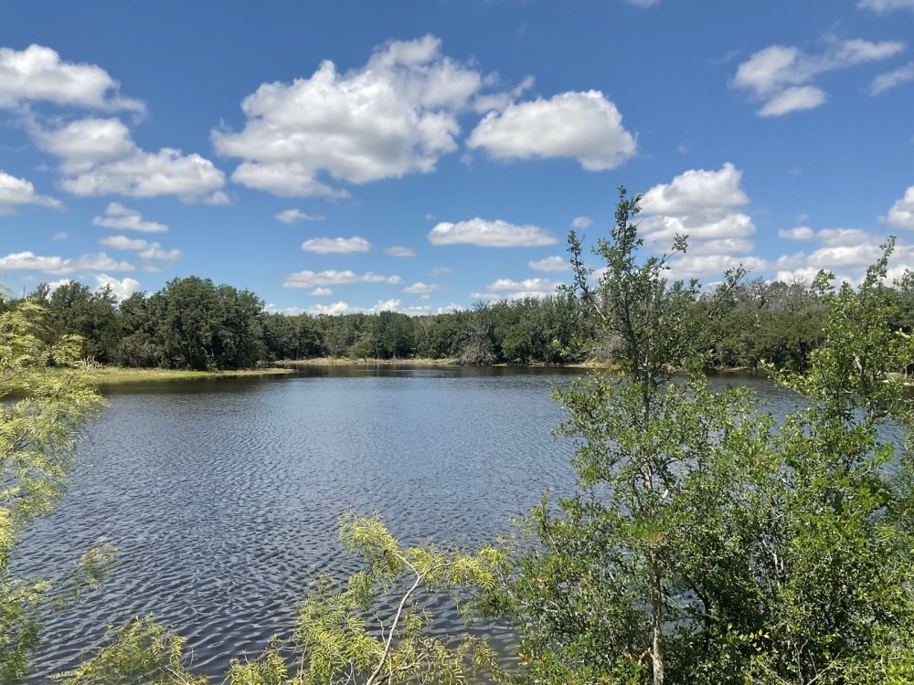 Pond featured image