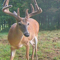 Beautiful property in the heart of Muskingum County Ohio