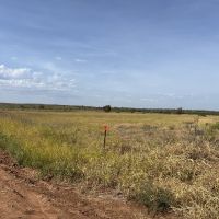 90 acre tract briscoe county 2