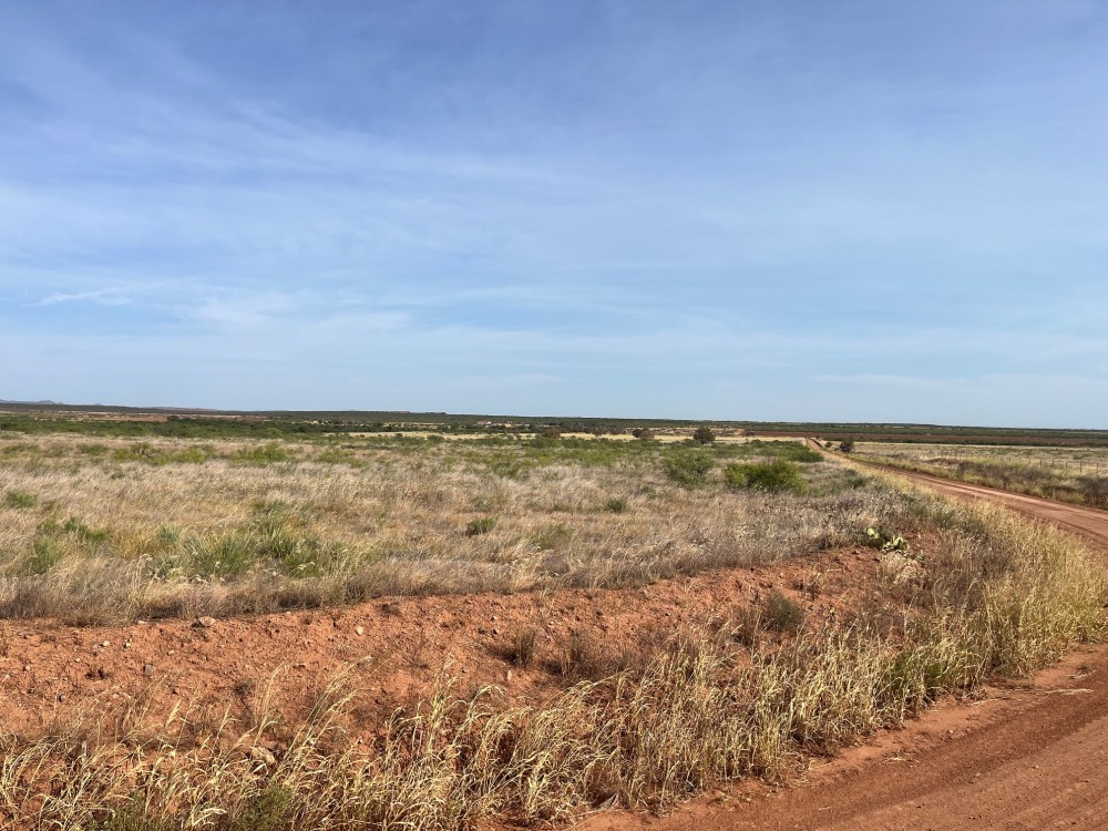 90 acre tract briscoe county featured image