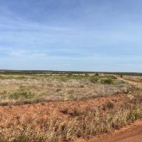 90 acres grassland Briscoe County, Texas adjacent to wooded ares