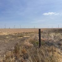 177 acres grassland Briscoe County, Texas