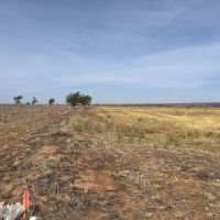 400 acres Briscoe County, Texas