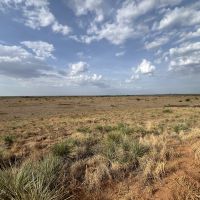 260 acres Motley County