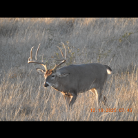 5000 acre ranch in Webb county