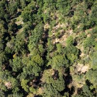 Hunt & Stay: 37 Private Acres 40 CFA Land Total 77 Acres Between Orchards, Sleeps 10 $800 daily