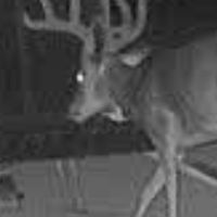7 Mile Ranch MLD Hunts