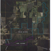 Forested 118 Acre Hunting Lease