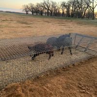 Beautiful and Remote Hunting Lease