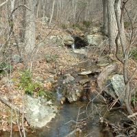 Pristine hunting land in south Bedford County, VA