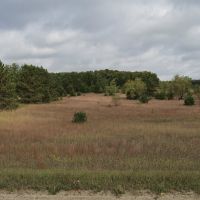 Img 1592