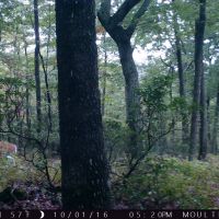 16.2 Acres Neighboring Frederick Municipal Forest