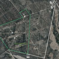250 Acre South Texas Hunting Lease