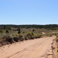 240 acres on the Paunsaugunt over the nicest spring next to town and surrounding area easy access