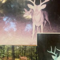 Ozan Prairie Outdoors: Oct. 18–20 Whitetail Hunt + Lodge | $3,000/Hunter | 2 Spots