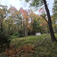 2-acre wooded hunting & recreation lot — Route 115, Monroe County