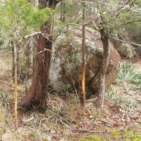170 AC short term leases for deer turkey hog seasons