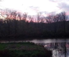 20+ acre beautiful wooded secluded riverside property