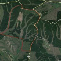 Amazing 594 Acre Tract Near Linden, TN