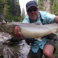 Dewar bull trout