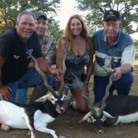 0-blackbuck 4